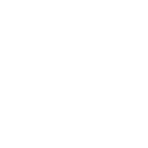 business_traveler_logo